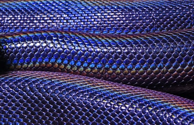 蓝紫色蛇皮